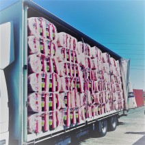 Pinkbatts_Truck.jpg